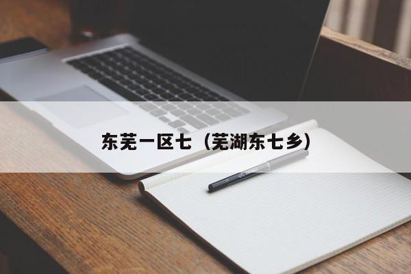 东芜一区七（芜湖东七乡）