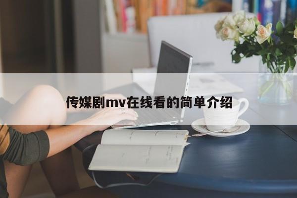 传媒剧mv在线看的简单介绍