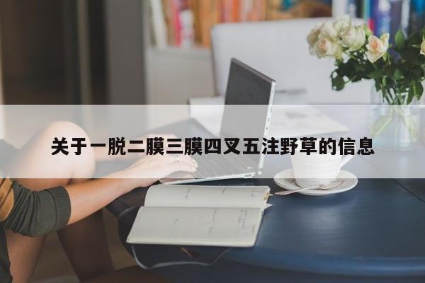 关于一脱二膜三膜四叉五注野草的信息